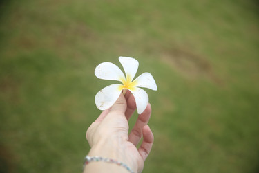 Similar image 22556016