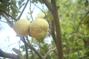 Similar image 22556018