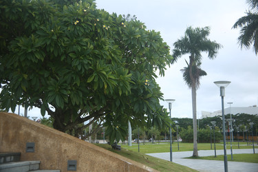 Similar image 22578282