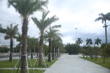 Similar image 22578284