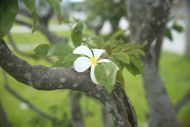 Similar image 22556019