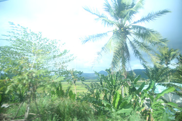 Similar image 22578285