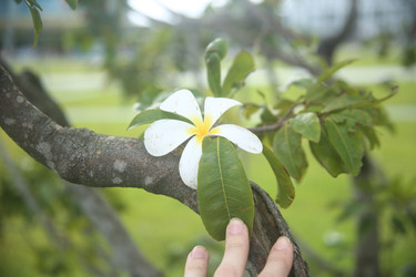 Similar image 22556020