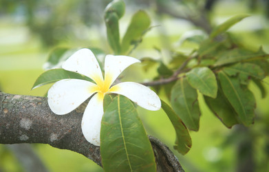 Similar image 22556021