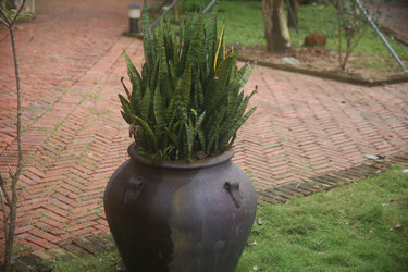 Similar image 22578286