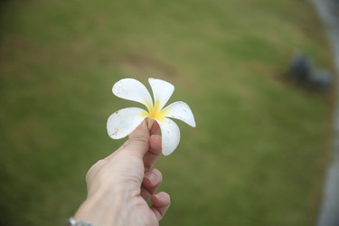 Similar image 22556022