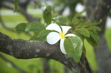 Similar image 22556023