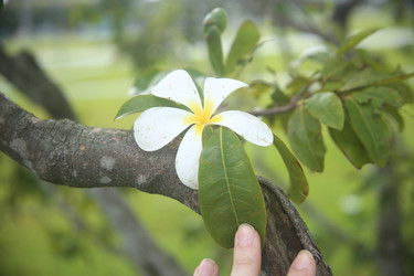 Similar image 22556024