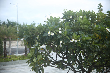 Similar image 22556025