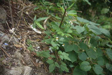 Similar image 22556033