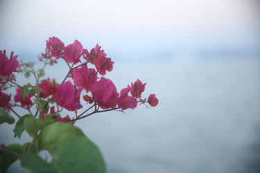 Similar image 22556037