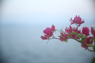 Similar image 22556038