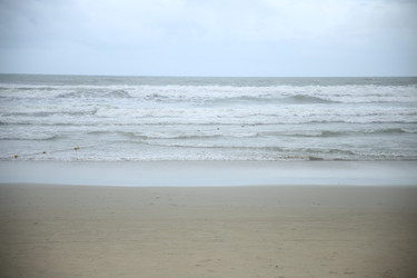 Similar image 22556040