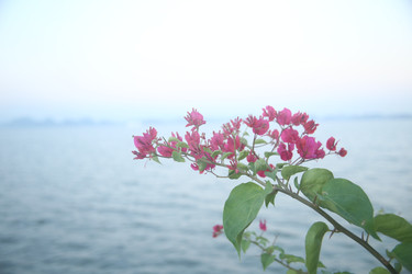 Similar image 22556042