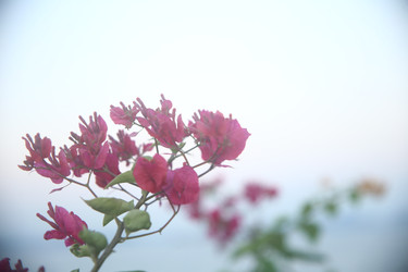 Similar image 22556043