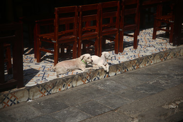 Similar image 22561772