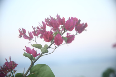 Similar image 22556044