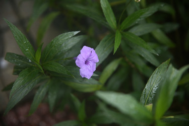 Similar image 22556045