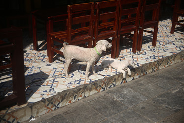 Similar image 22561775