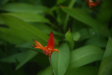 Similar image 22556054