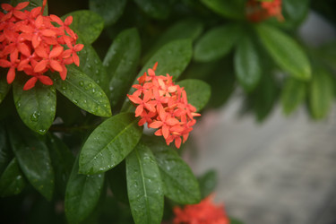 Similar image 22556055