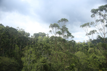 Similar image 22561743