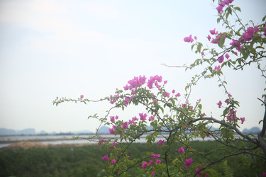 Similar image 22555994