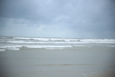 Similar image 22555995