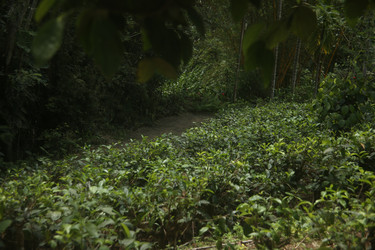 Similar image 22562851