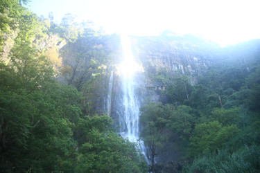 Similar image 22562852