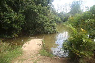 Similar image 22561744