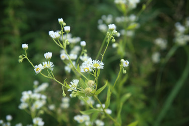 Similar image 22555996