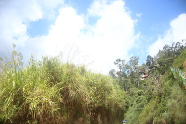 Similar image 22561745