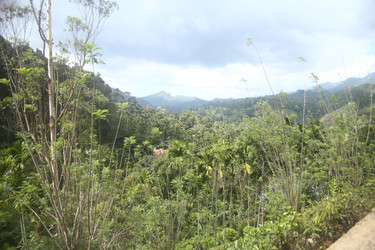 Similar image 22562854