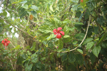 Similar image 22555997