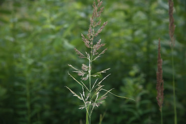 Similar image 22555998