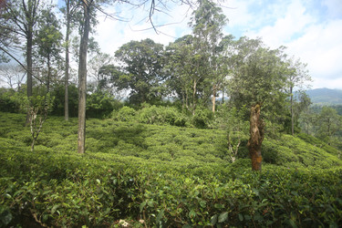 Similar image 22562857