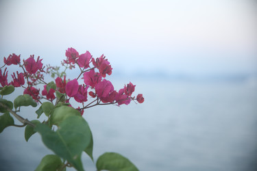 Similar image 22555999