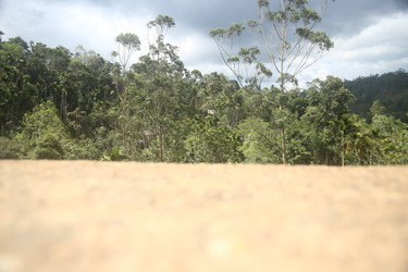 Similar image 22578221