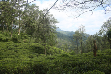 Similar image 22578223