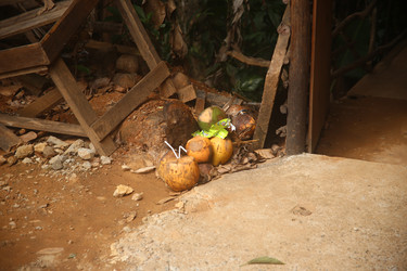 Similar image 22581099