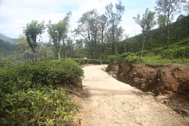 Similar image 22578236