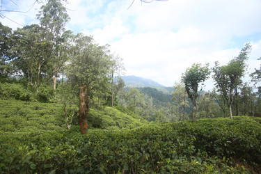 Similar image 22578237