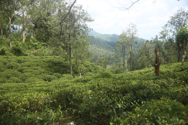 Similar image 22578238