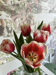 Similar image 22555480