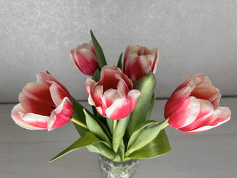 Similar image 22555481