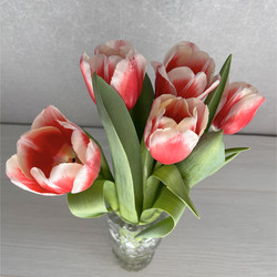 Similar image 22555482