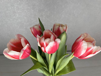 Similar image 22555483