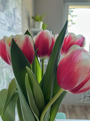 Similar image 22555484