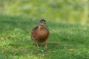 Similar image 22558971